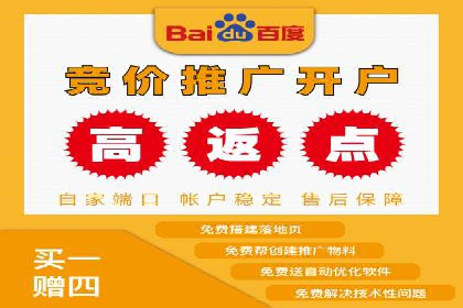 百度平台推广策略及成功案例解析